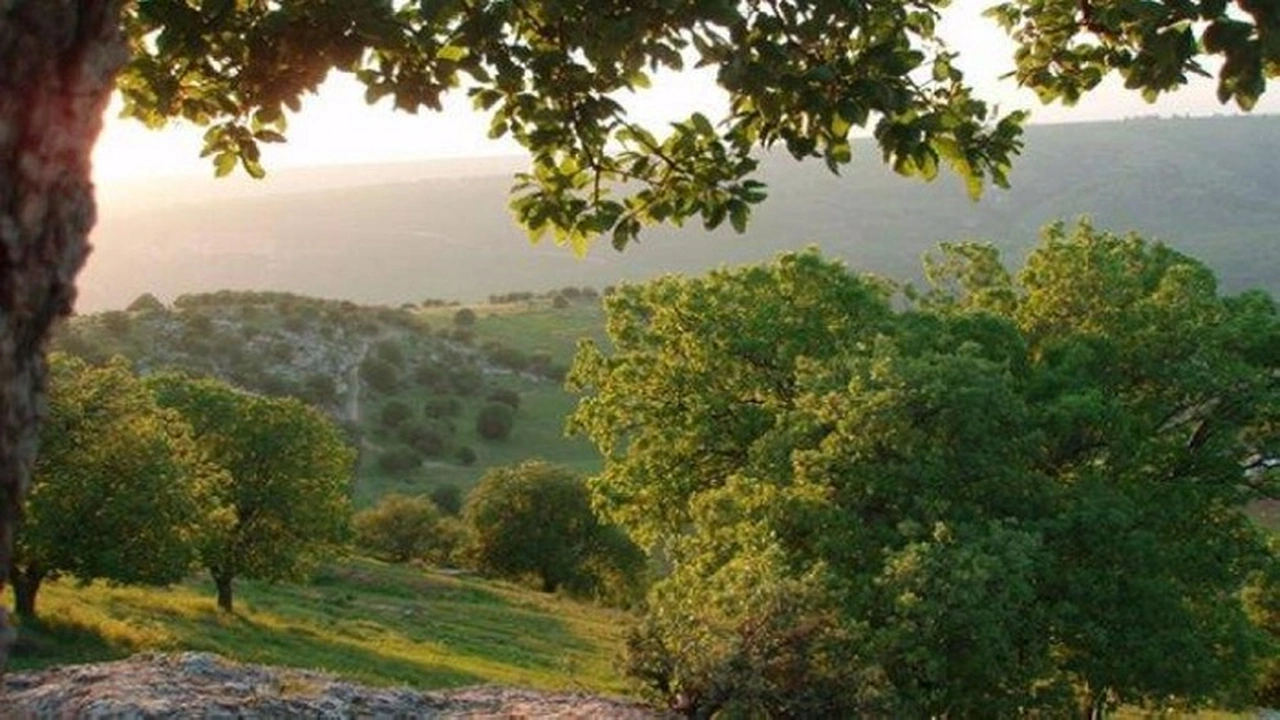 صيف معتدل يسيطر حتى الثلاثاء في البلاد